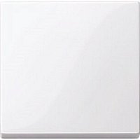 Лицевая панель Schneider Electric Merten System M для 1-кл. выключателя полярно белый